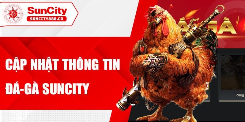 Cập nhật thông tin đá-gà suncity