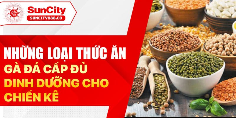 các loại thức ăn gà đá chất lượng